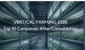 Strategic Report 2026: Top 10 Vertical Farming Companies to Watch (Post-Consolidation)