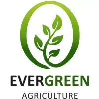 Evergreen Agriculture