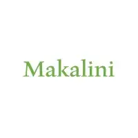 Makalini LLC | Multilevel Linear System